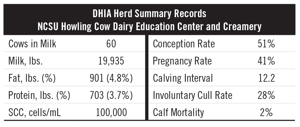 Raising Healthy Jersey Calves - Capitalize on Jerseys