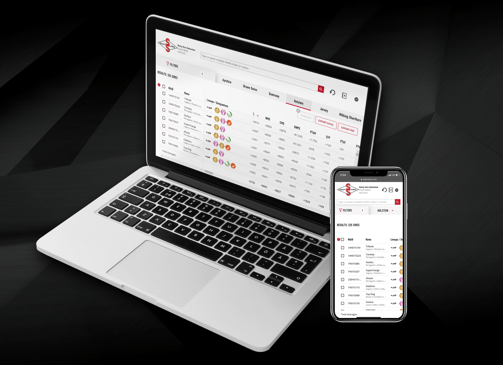 SSI Bull Search