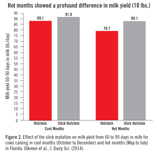 Figure 2. Ten pounds more milk in summer