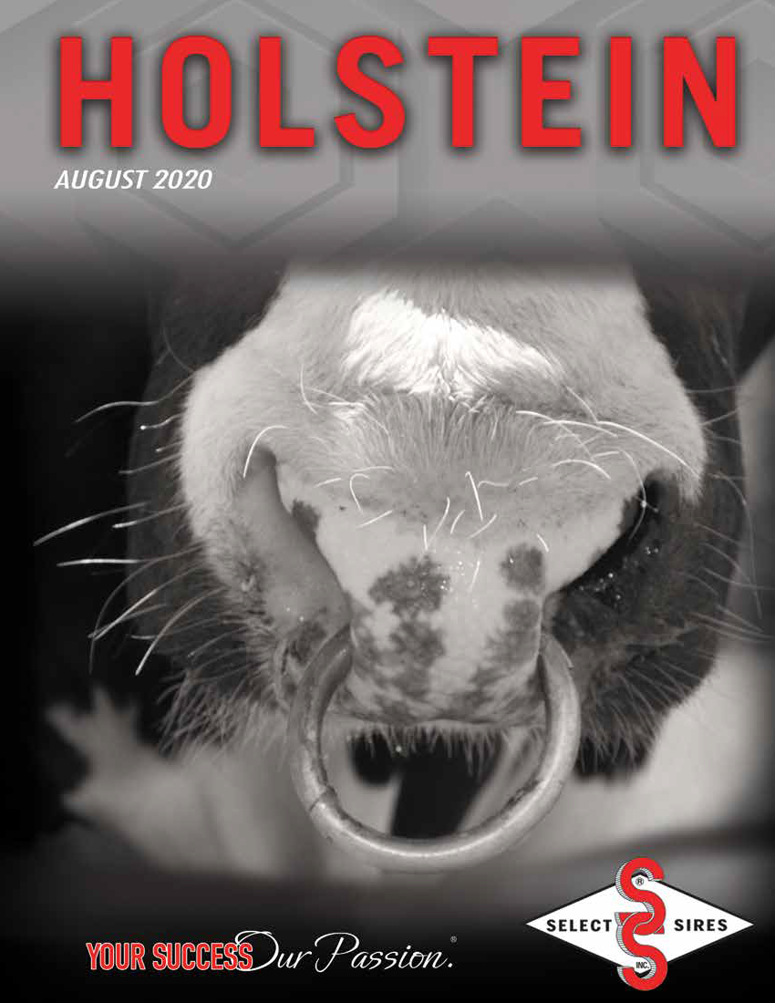 SSI August 2020 Holstein Directory Cover