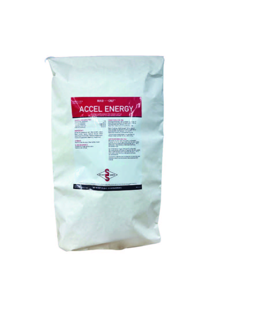 a bag of accel energy