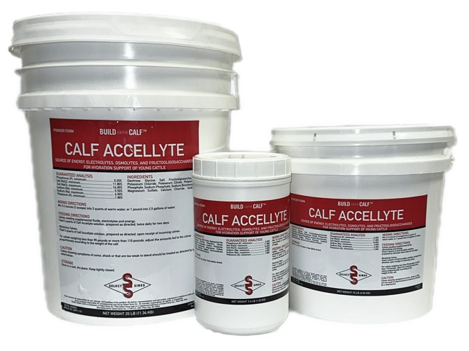 various sized container of calf accellyte